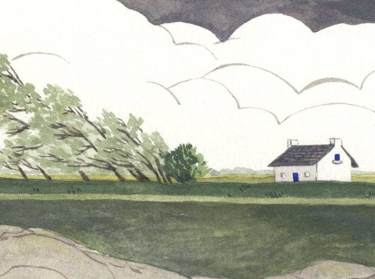 Les arbres et le vent  Image 2