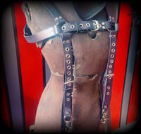 Image 5 of Worn distressed bondage leather chest harness