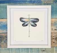 Seaglass dragonfly 