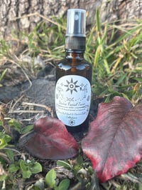 Divine Face Toner 