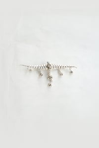 OSSIBELE A SONAGLI_Crocodile Jaws