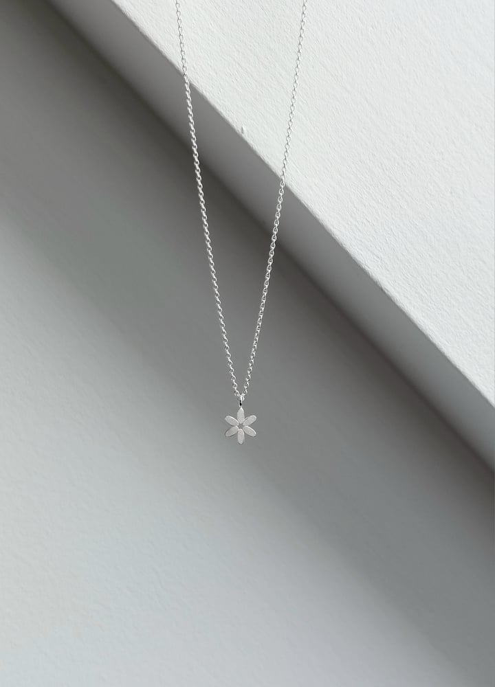 Image of Caraway Star Pendant 