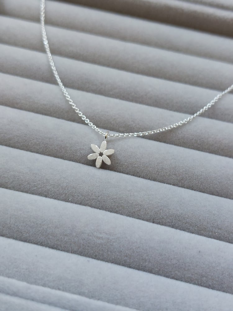 Image of Caraway Star Pendant 