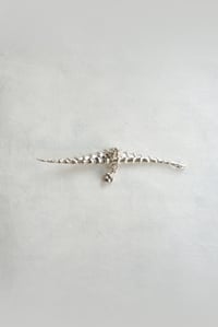 OSSIBELE ACUMINATA_Crocodile Jaws