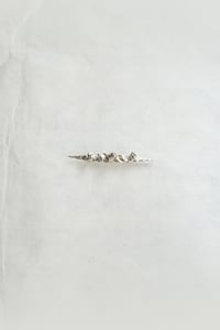 OSSIBELE CORONATA_Crocodile Jaws