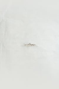 OSSIBELLINA_Crocodile Jaws