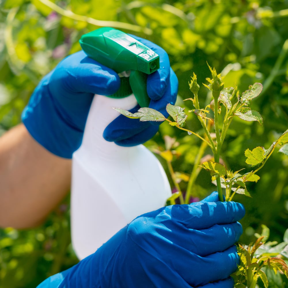 Image of GP32-3.5mil Medical Grade Blue Nitrile Gloves (1 Case, 1000 Gloves)