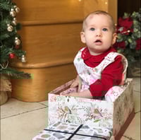 Image 5 of Ready to ship - Christmas