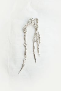 CYCLURA_Crocodile Jaws