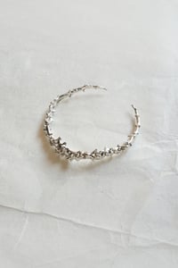 Image 1 of COLUBRO VIPERINO_Crocodile Jaws