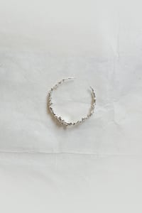 Image 2 of COLUBRO VIPERINO_Crocodile Jaws