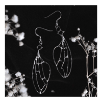 Image 1 of ∘∘ fly wings ∘∘ 