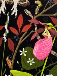 Image 2 of Owl Mandala