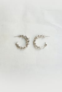 Image 2 of ORBETTINI_Crocodile Jaws