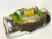 Image 3 of Churchill 