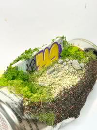 Image 4 of Churchill 