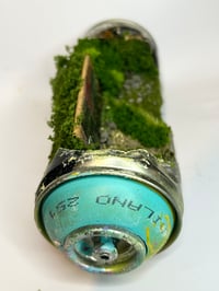 Image 4 of Underbush 