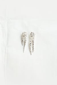 Image 2 of ZONURI BIFORCUTI