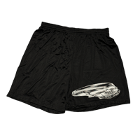 Image 1 of Skullie Shorts .enamoir