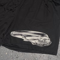 Image 2 of Skullie Shorts .enamoir