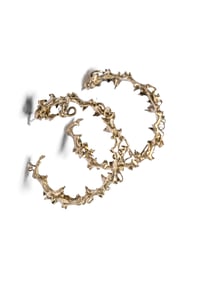 ORBETTINI ORNATI_Crocodile Jaws