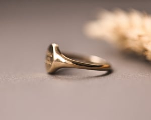 Image of 'Fluctuat nec mergitur' small signet ring (in silver or 9ct gold)