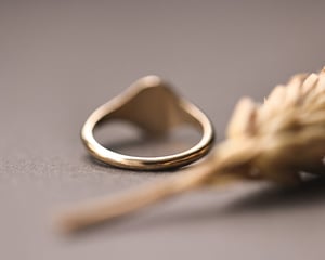 Image of 'Fluctuat nec mergitur' small signet ring (in silver or 9ct gold)