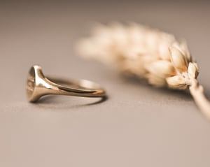 Image of 'Fluctuat nec mergitur' small signet ring (in silver or 9ct gold)