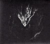 Nécropole - Yoga LP