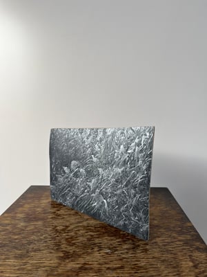 Image of Photo Fragment “Tumbling Reeds”