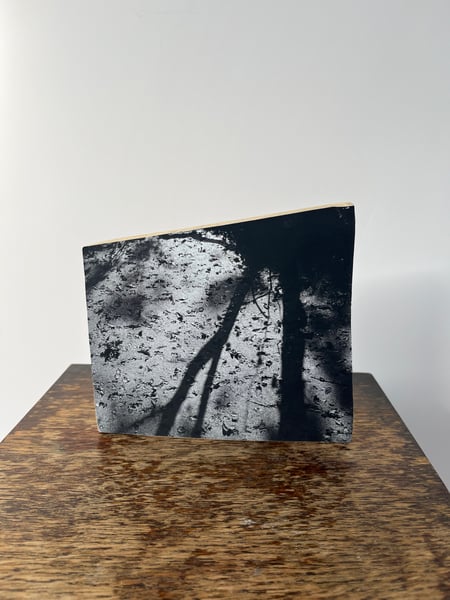 Image of Photo Fragment “Following The Sweet Track II”