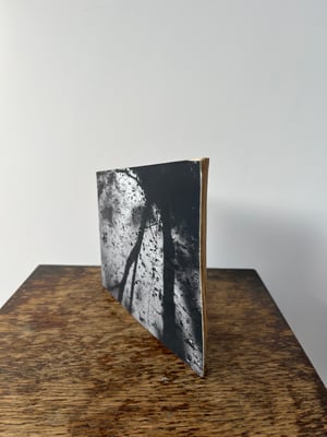 Image of Photo Fragment “Following The Sweet Track II”