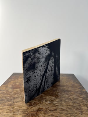 Image of Photo Fragment “Following The Sweet Track II”