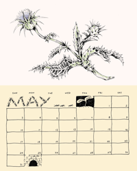 Image 2 of 2026 Calendar