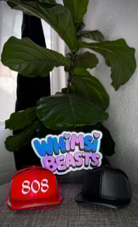 Image 3 of Accessories 