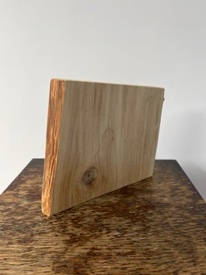 Image of Photo Fragment “Fern, Shapwick Heath”