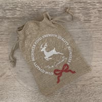 Reindeer Food Pouch