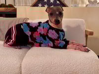 Image 1 of Sherpa Loungewear - Blue, Pink, Purple Flowers