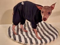 Image 1 of Sweat Suit - Black