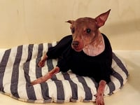 Image 3 of Sweat Suit - Black