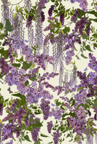Image 3 of Lilac Table Cloth 
