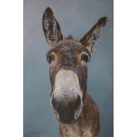 Image 1 of New Felix Print 