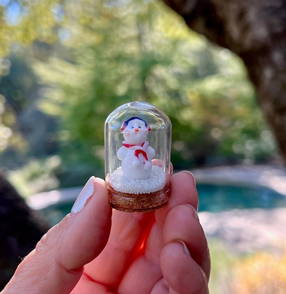 Image of ~SNOWMAN DOME~