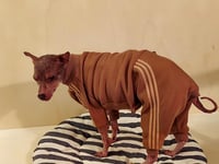 Image 2 of Sweat Suit - Camel