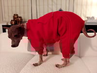 Image 1 of Sweat Suit - Red