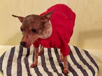 Image 2 of Sweat Suit - Red