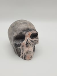 Image 1 of Pink Zebra Skull