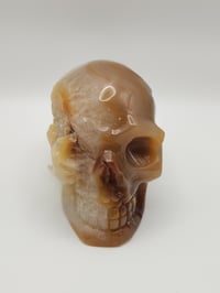 Image 1 of Druzy Agate Skull