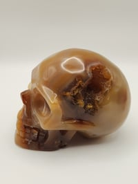 Image 4 of Druzy Agate Skull