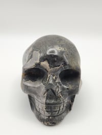 Image 1 of Picture Jasper Skull